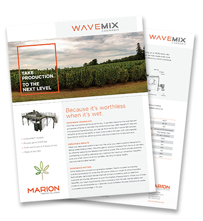 Marion_cannabis_Flyer